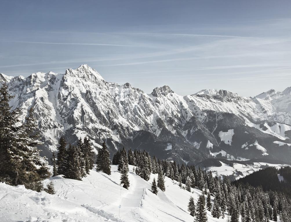 Ferienwohnung John Seymour Leogang Oda fotoğraf
