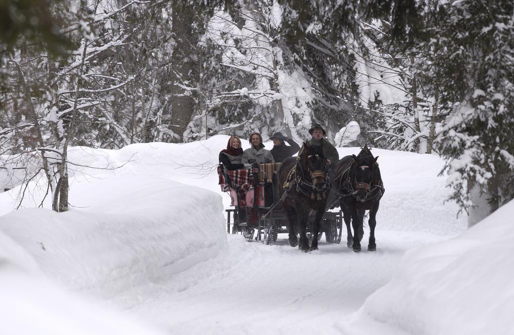 Ferienwohnung John Seymour Leogang Oda fotoğraf