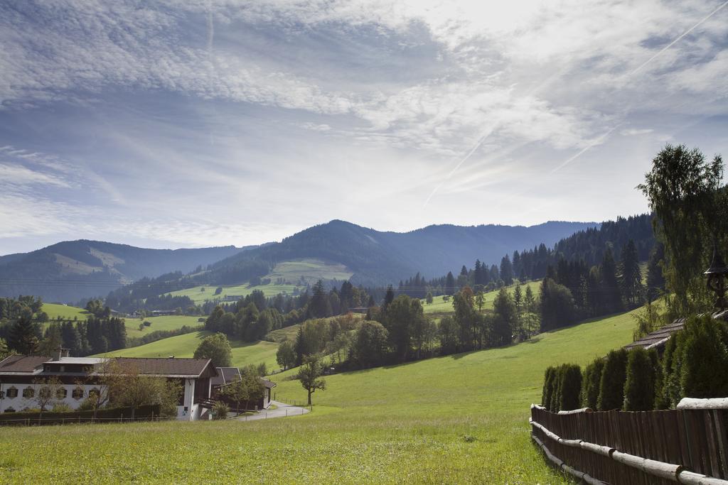 Ferienwohnung John Seymour Leogang Oda fotoğraf
